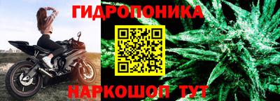 марихуана Будённовск