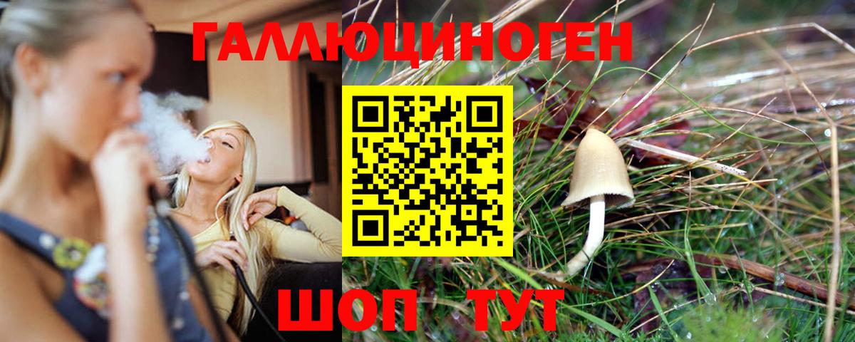 Псилоцибиновые грибы прущие грибы  Вход с VPN  Истра 